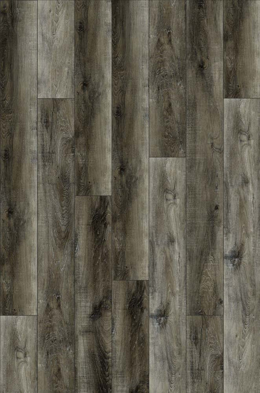 River View