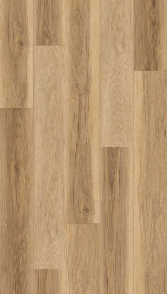 Carolina Hickory