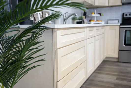 Versa Shaker Cabinet Kitchen Design